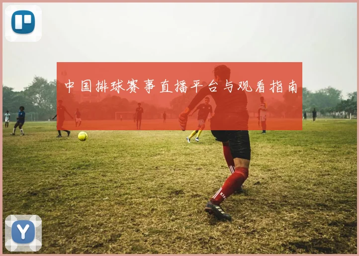 中国排球赛事直播平台与观看指南