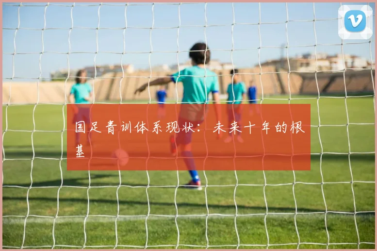 国足青训体系现状:未来十年的根基