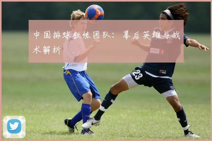 中国排球教练团队:幕后英雄与战术解析
